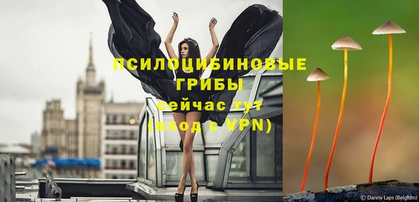 дмт Бугульма
