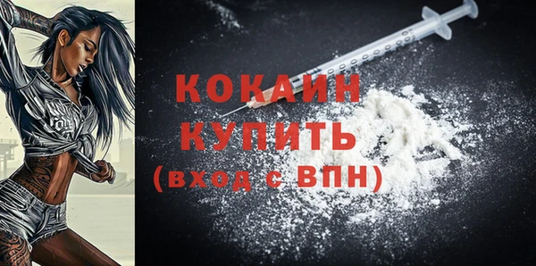 дживик Бородино