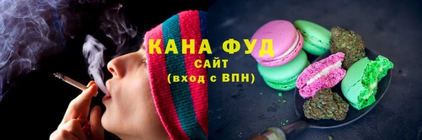 дживик Бородино