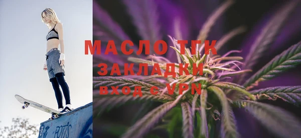 дживик Бородино