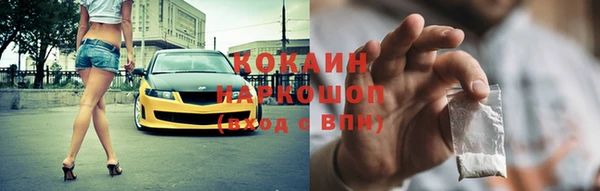 дживик Бородино