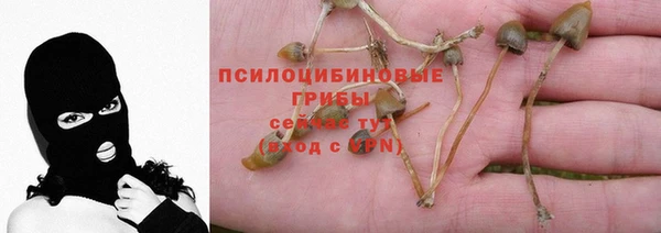 спайс Артём