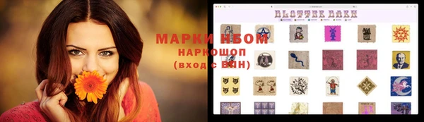 дживик Бородино