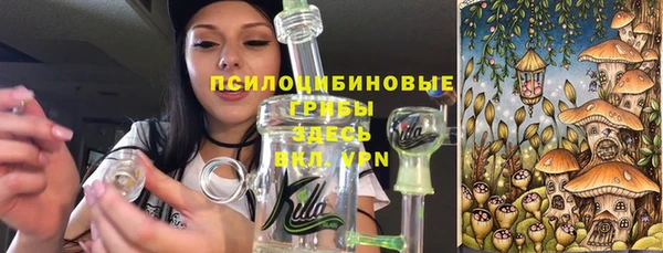 дмт Бугульма