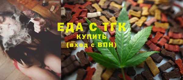 дживик Бородино