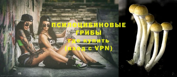 дмт Бугульма