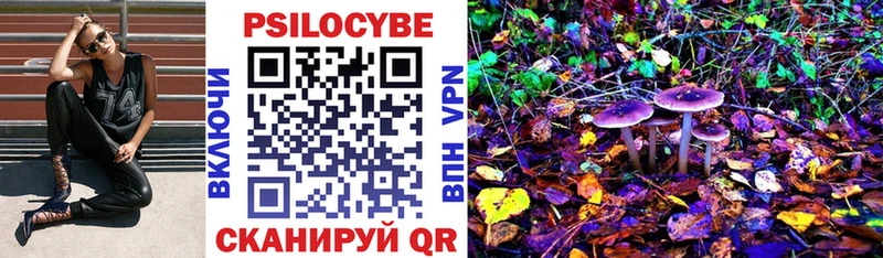 Галлюциногенные грибы прущие грибы  продажа наркотиков  Дигора 
