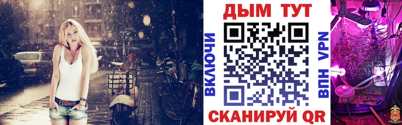Шишки марихуана индика  как найти наркотики  KRAKEN рабочий сайт  Дигора 
